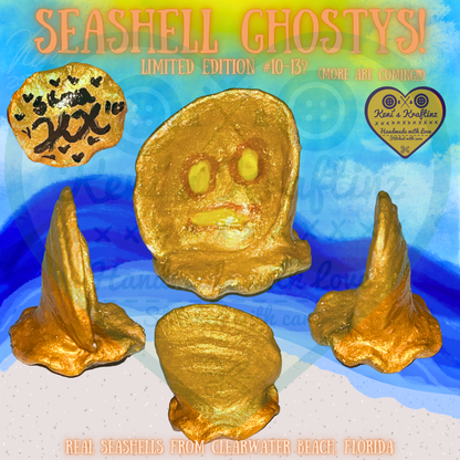 REAL Seashell Ghostys!