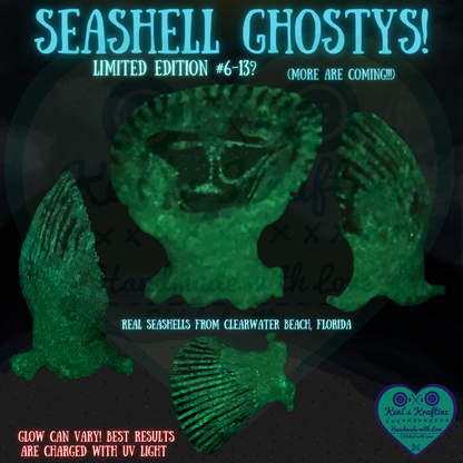 REAL Seashell Ghostys!