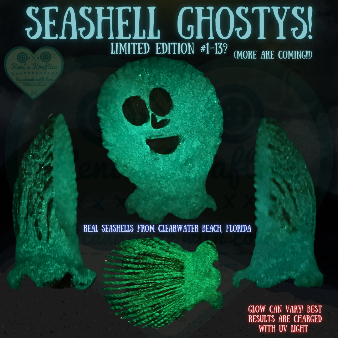 REAL Seashell Ghostys!