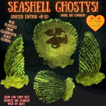 REAL Seashell Ghostys!